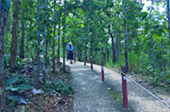 Magic Town in nature. - Pai District