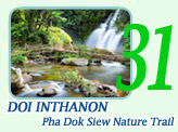 Doi Inthanon, Pha Dok Siew Nature Trail