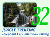 One Day Trekking, Elephant Care Adventure