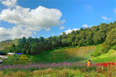 Chiang Mai Atmosphere