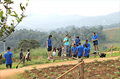 Chiang Mai Atmosphere