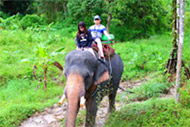 Tour Phuket for Guest from Cruise Ships