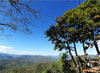 Doi Inthanon