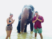 Elephant Lover on The Beach