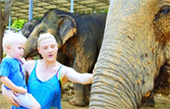 Elephant Sanctuary Half Day Visit