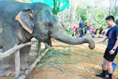 Elephant Sanctuary Half Day Visit