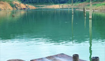 Far Difference Phuket: 3 Days / 2 Nights