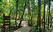 Far Difference Phuket: 3 Days / 2 Nights