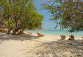 Thailand Bay: New Destinations. Koh Tao Pha-Ngan