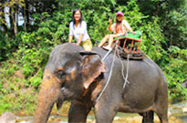 Phuket Half Day Excursion