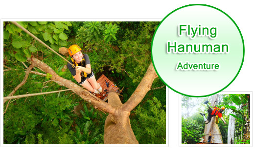 Flying Hanuman