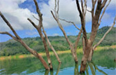 Hatyai-Betong: 4 Days 3 Nights Package