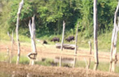 Hatyai-Betong: 4 Days 3 Nights Package