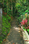 Hatyai-Betong: 4 Days 3 Nights Package