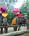 Hat Yai City Tour