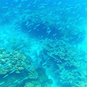 2Days 1Night Hatyai Snorkeling Tour