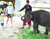 Impressions Phang Nga