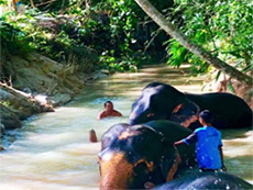 Impressions Phang Nga