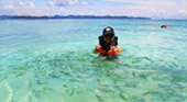 The best of Small 3 Islands