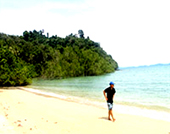 3 Eggs Island and Pearl Island Half Day Trip by JC Tour