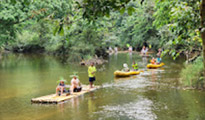 Khao Sok: Elephant Bath in nature