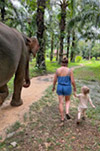 Khao Sok: Elephant Bath in nature