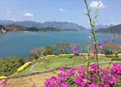 Lake of Dam: Chiew Larn