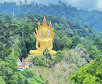 Nature Discovery :  Khao Sok