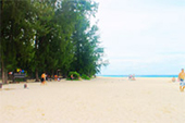 PP Bamboo Island by Speed Boat