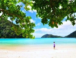 Similan Island by Speed Boat