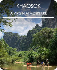 Khaosok National Jungle Conservation