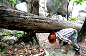 Little Amazon and Jungle Beach