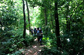 Little Amazon and Jungle Beach