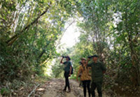 The Forest Breath: 2 Days 1 Nights, Jungle experience The Forest Breath: 2 Days 1 Nights, Jungle experience
