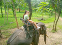 Trip From Khao-Sok only: Bamboo Raft