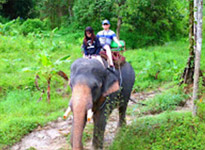 Trip From Khao-Sok only: Bamboo Raft