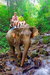 Trip From Khao-Sok only: Bamboo Raft