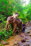 Trip From Khao-Sok only: Bamboo Raft