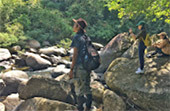 Trip From Khao-Sok only: Bamboo Raft