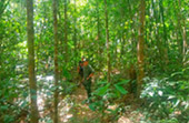 Trip From Khao-Sok only: Bamboo Raft