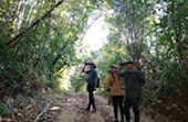 Trip From Khao-Sok only: Bamboo Raft