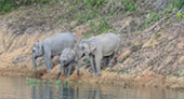 Trip From Khao-Sok only: Day Trip Chiew Lan Lake