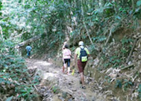 Trip From Khao-Sok only: Day Trip Chiew Lan Lake