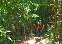 Khao Sok, Khao Lak one day from Phuket