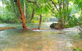 Khao Sok, Khao Lak one day from Phuket