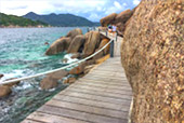 Koh Tao - Turtle Island