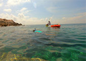 Koh Tao - Turtle Island