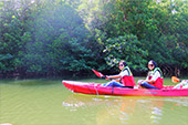 3 Caves Canoe Safari Temple Nature Stream