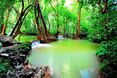 3 Caves Canoe Safari Temple Nature Stream