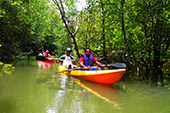 3 Caves Canoe Safari Temple Nature Stream